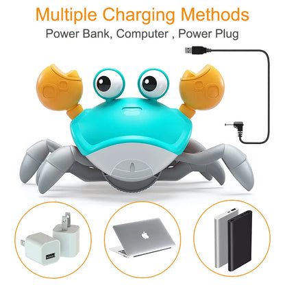 Wanderbuddy Crab: Your Baby's Crawling Companion!