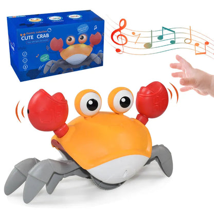 Wanderbuddy Crab: Your Baby's Crawling Companion!